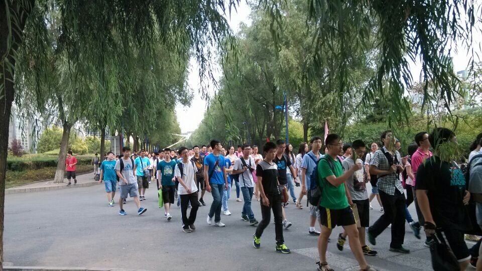 金沙娱乐城