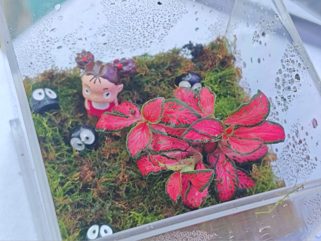 金沙娱乐城