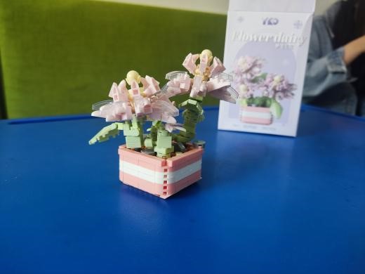 金沙娱乐城